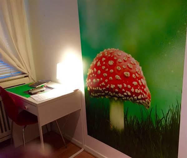 Self Check In City Hostel Nordstern إسن المظهر الخارجي الصورة